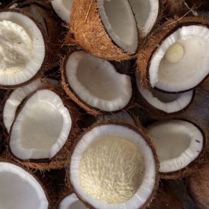 Coconut