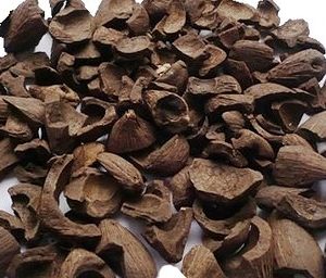 Palm Kernel