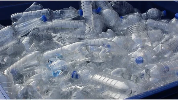 SCRAP PET BOTTLE - Image 2
