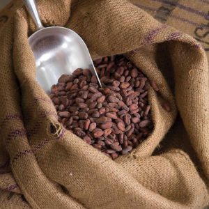 Cocoa