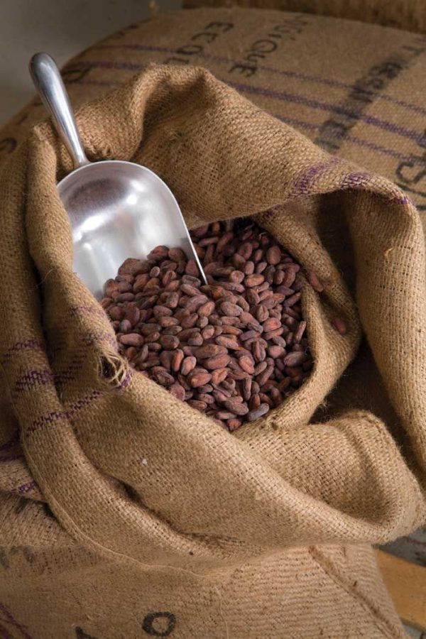 Cocoa