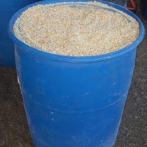 White Maize