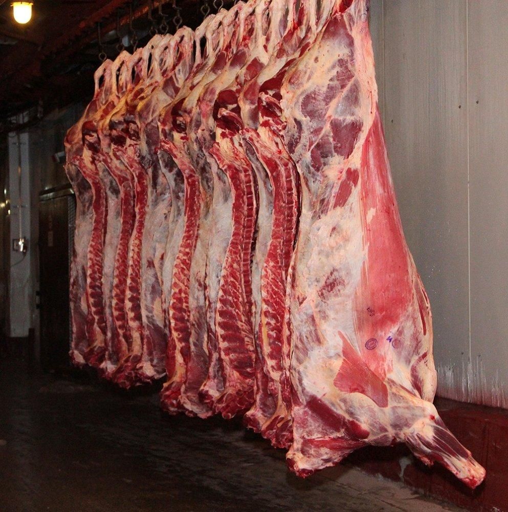 Buffalo Boneless Meat