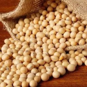 Soybeans