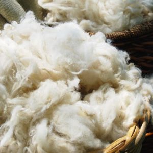 Cotton