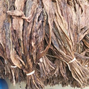 Tobacco