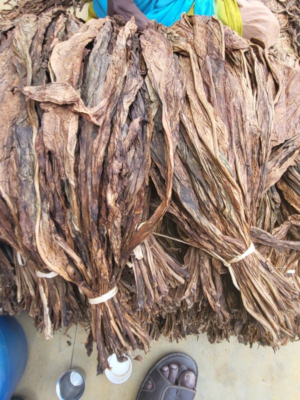 Tobacco